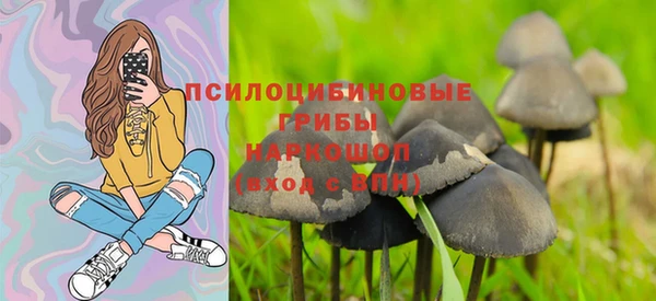 ПСИЛОЦИБИНОВЫЕ ГРИБЫ Беломорск
