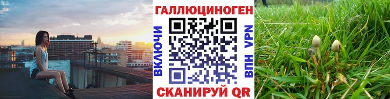 Псилоцибиновые грибы MAGIC MUSHROOMS  наркотики  Вяземский 